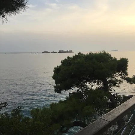 Apartmán Concordia Lux *